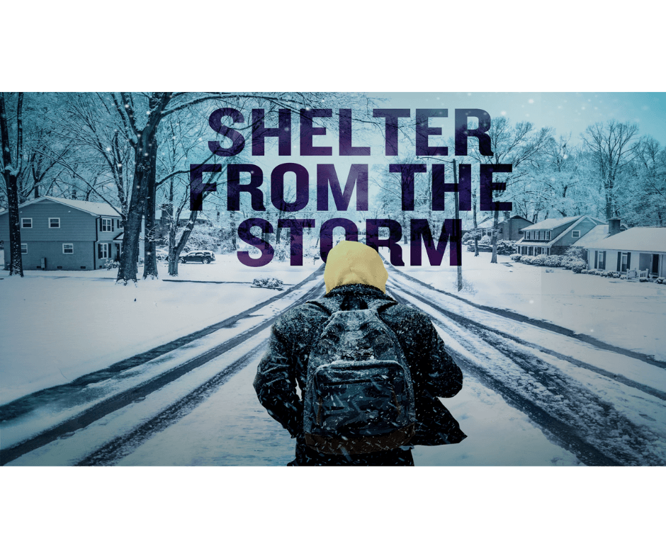 Shelter From the Storm - Image